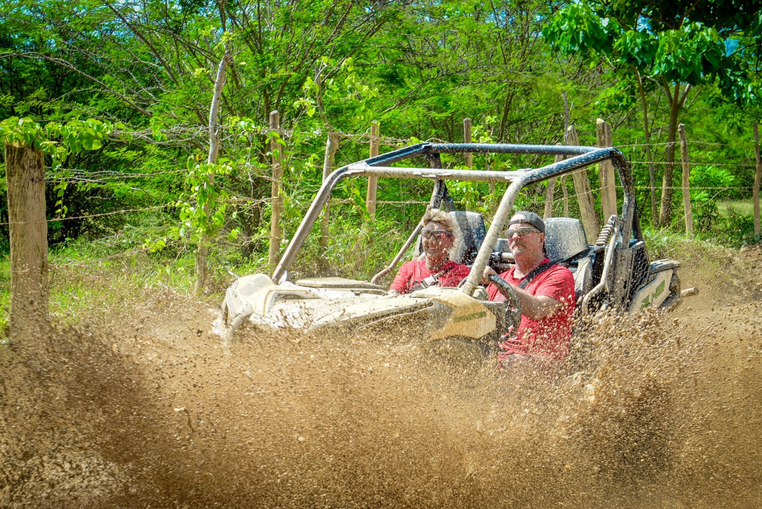 BUGGY VIP