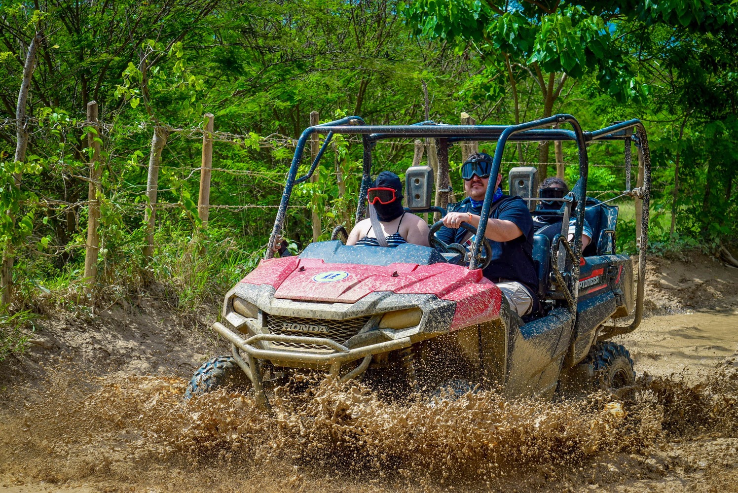 BUGGY VIP